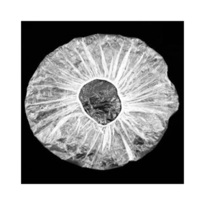 CHARLOTTE JETABLE BLANC ALIMENTAIRE