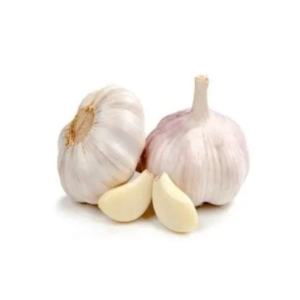 GARLIC