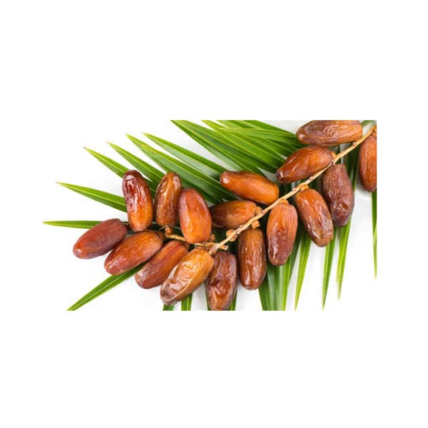 DATTE TUNSIANE BRONCHE - GOH NÉGOCE