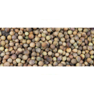 قزبر حبوب Grains de coriandre